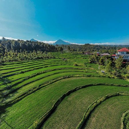 Candra Cottage Munduk Buitenkant foto