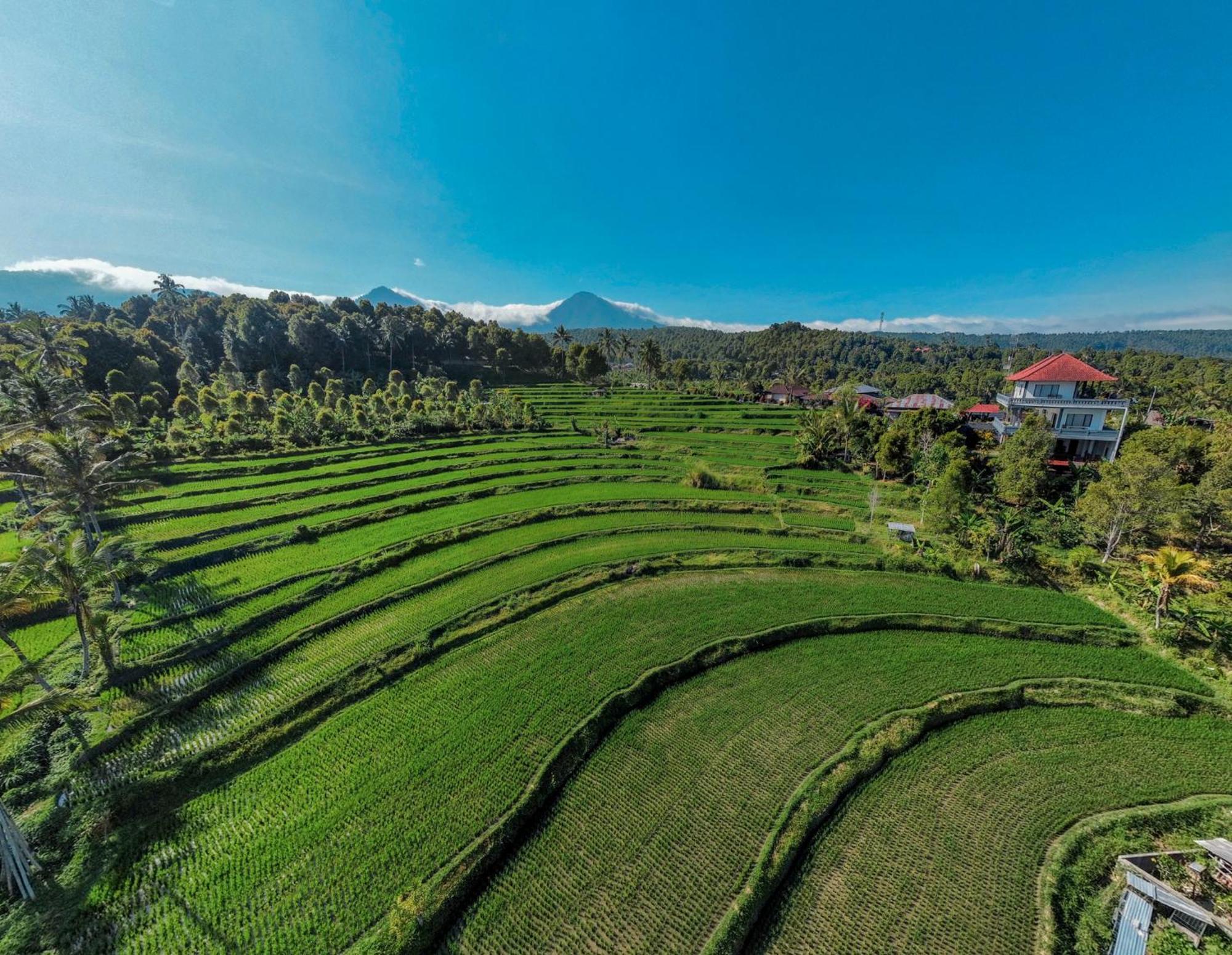 Candra Cottage Munduk Buitenkant foto